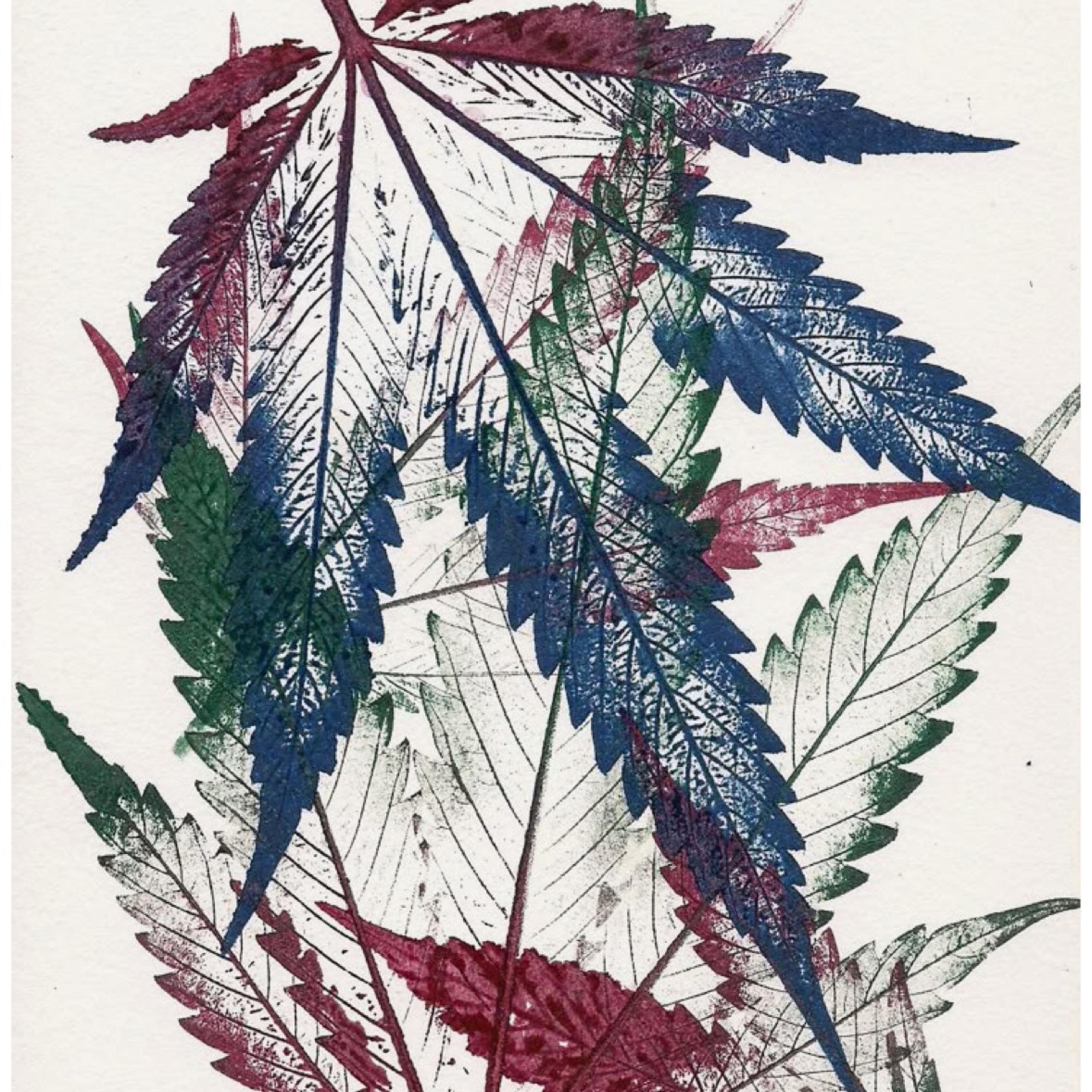 KASTRO ZIZO - Chupa Chupa