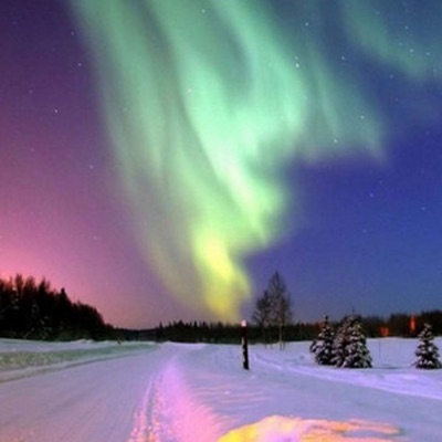 what are u stupid ? - Single