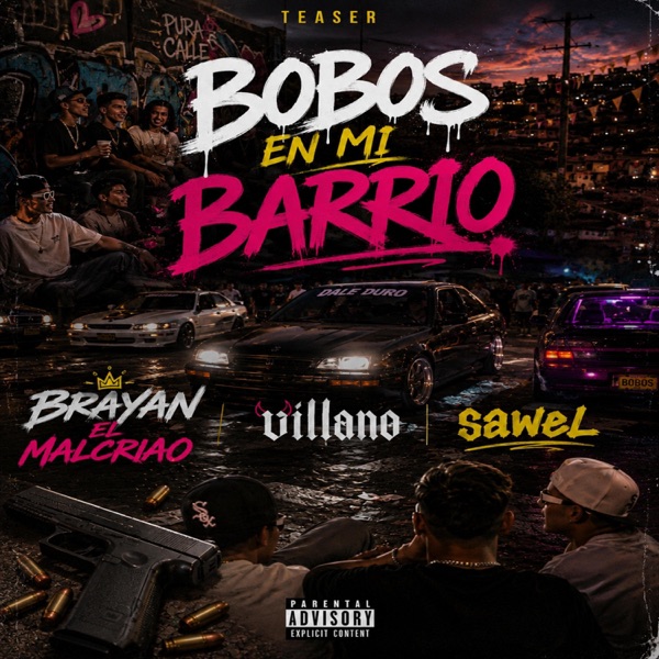 Bobo en mi barrio
