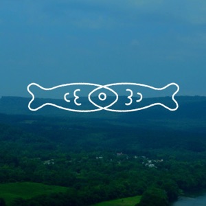Gravity - Single