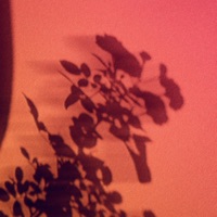 Shared Hearts (feat. Kaspa. & Neoplasma) - Single - Redmatic レド