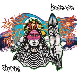 Kill The NDN, Save The Man Spook