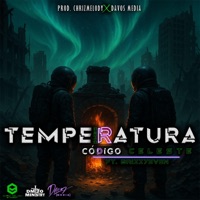 Temperatura (feat. Brizz7even) - Single - DM20