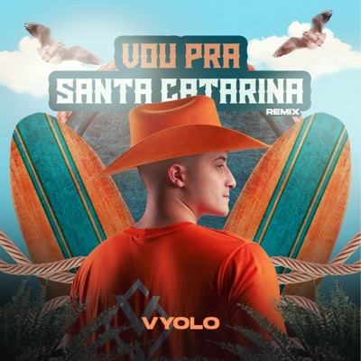Vou pra Santa Catarina (Remix) - Single