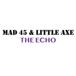 The Echo (feat. Little Axe) - Single