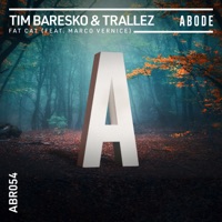 Fat Cat - Single - Tim Baresko, Trallez & Marco Vernice