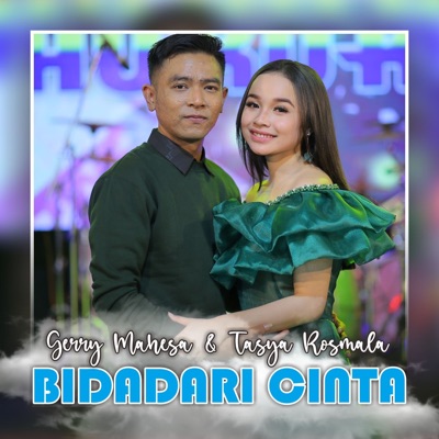 Bidadari Cinta - Single