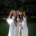 Underneath the Willow Tree