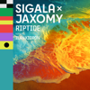 Sigala & Jaxomy - Riptide (feat. Ilan Kidron) artwork