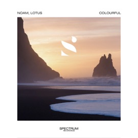 Colourful NOAM & Lotus