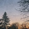 The Damn Truth - Anthony Bisceglia lyrics