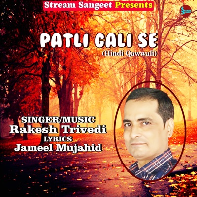 Patli Gali Se - Single