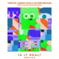 Is It Real (feat. Salena Mastroianni)