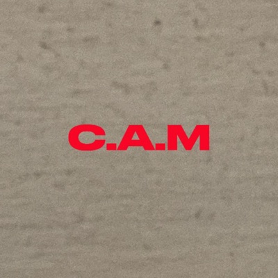 Battle Of The Spirits - Single