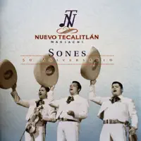 Las Olas — Mariachi Nuevo Tecalitlán