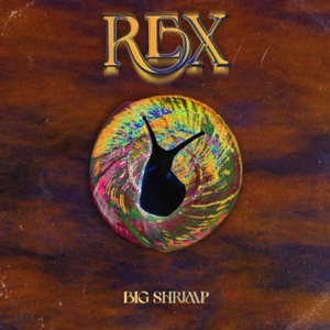 Rex - Single