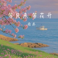 等风来 等花开 - Single - 南乔