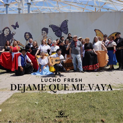 Déjame Que Me Vaya - Single