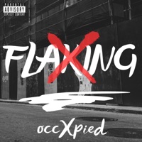 Flaking! - Single - occXpied