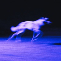 Neon Street - EP - p3drin.scream