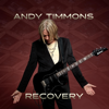 Recovery - Andy Timmons