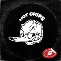 HOT CHIPS (INSTRUMENTALS) - Benny Zenn