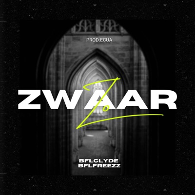 Zo Zwaar - Single
