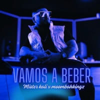 Vamos a beber - Single - Mister Kali & MoombahKingz