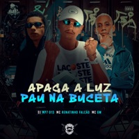 Apaga a Luz, Pau na Buceta - Single - MC Renatinho Falcão & MC TH