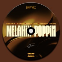 Melanin Poppin (feat. Graceboy, Sularzo, Lyrical Level, Dani Silva & BigzIQ) - Single - BIG VYBZ & Rexxie