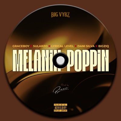 Melanin Poppin (feat. Graceboy, Sularzo, Lyrical Level, Dani Silva & BigzIQ) - Single