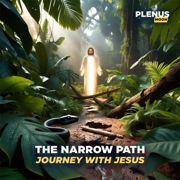 The Narrow Path (Journey With Jesus) - Plenus Moon