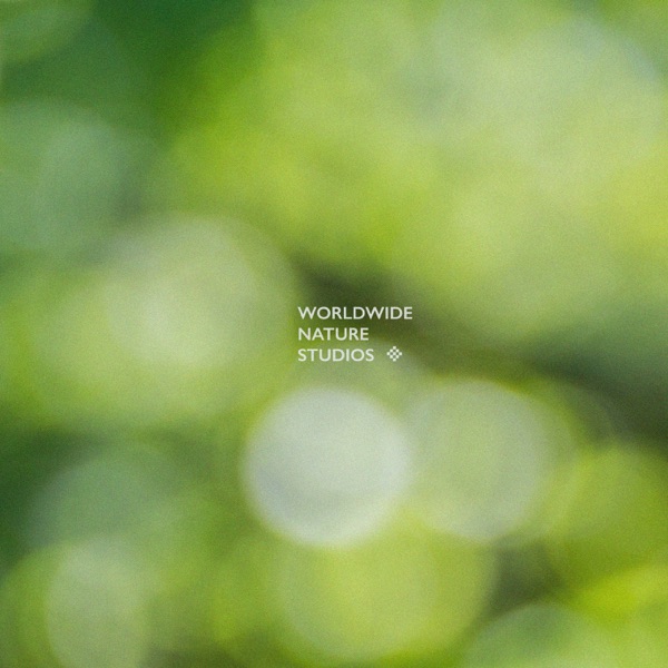 Worldwide Green Noise - EP