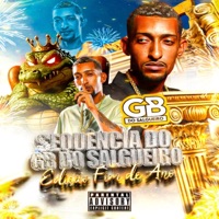 Sequencia do Gb do Salgueiro | Edição Fim de Ano (feat. Mc Magrinho, MC GW, MC Cyclone, Mc Dido, MC Max, Mc Leozinho do Pira, Mc Sub0 & Mc 2F) - EP - Gb Do Salgueiro, MC Saci, MC TH & Mc Menor Thalis