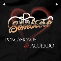pongamos de acuerdo - Single - Los Del Sombrero