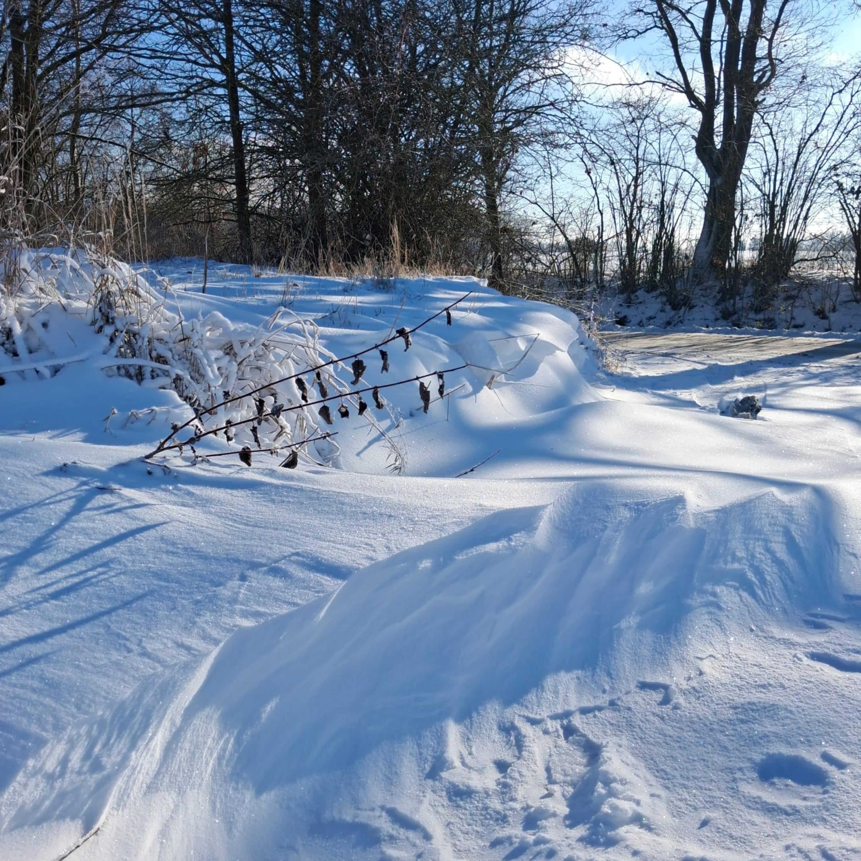 Winter magic - Single