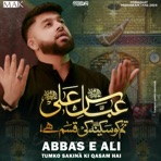 Abbas e Ali Tumko Sakina Ki Qasam Hai - Single