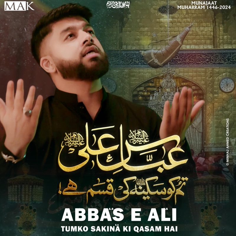 Abbas e Ali Tumko Sakina Ki Qasam Hai - Single