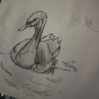 blazed - Single - wolo polo