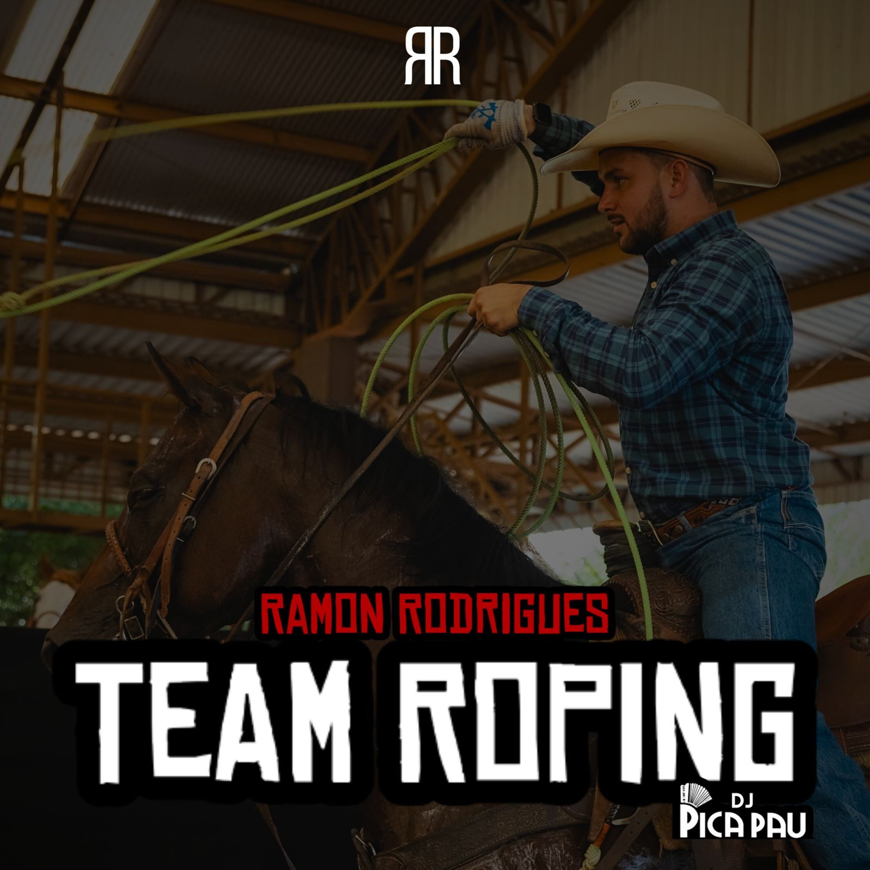 Team Roping - Single