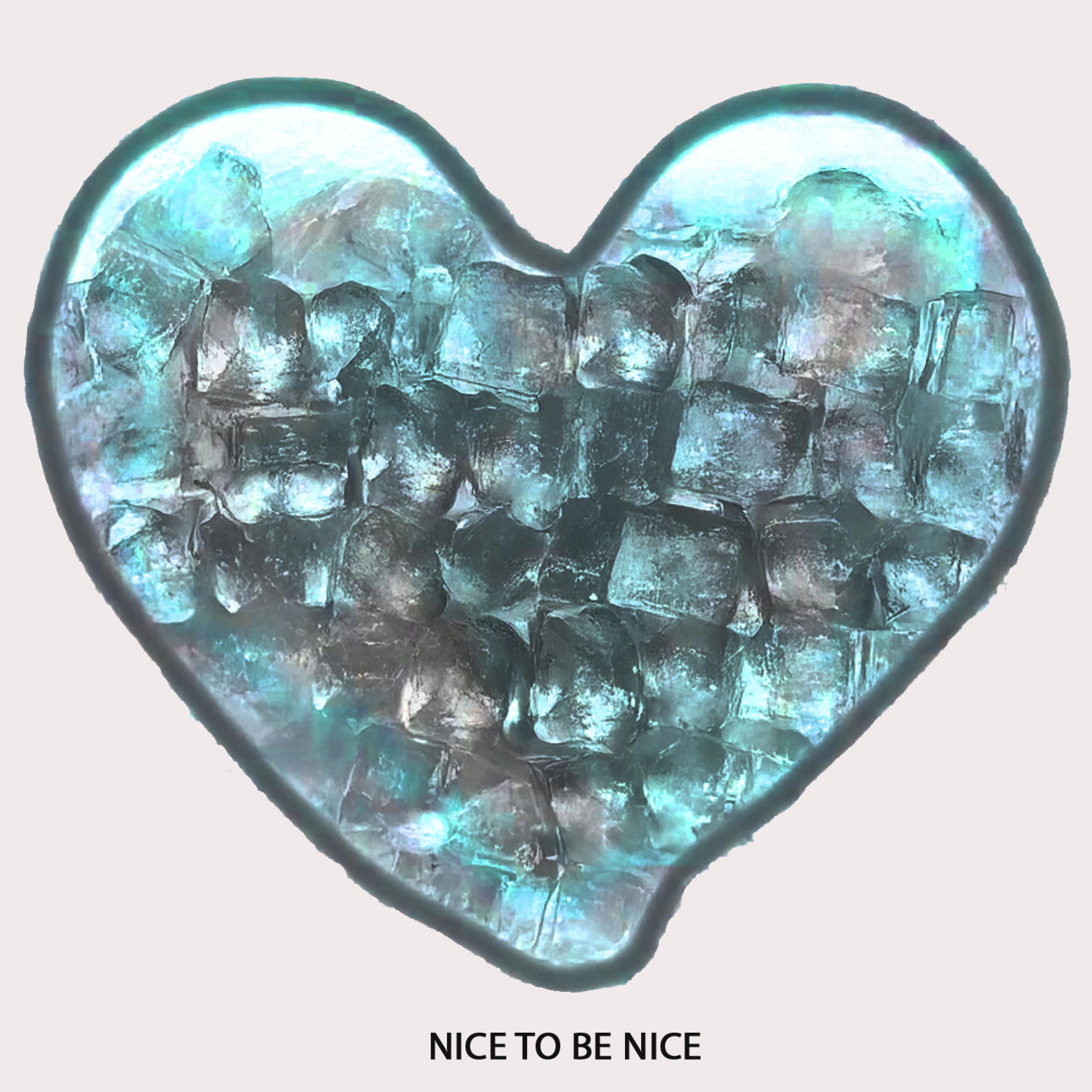 NICE TO BE NICE - Single