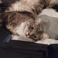 can we make amends - Single - cxltrr