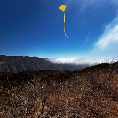 YELLOW KITE - Single