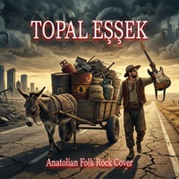 Topal Eşşek - Single - Hasan Bitmez Project