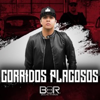 CORRIDOS PLACOSOS - Bocho Ramos