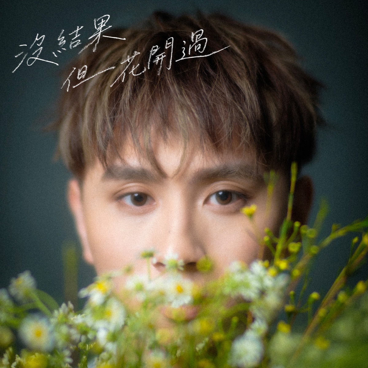 Gavinn 湯梓熙 – 沒結果但花開過 – Single (2026) [iTunes Plus AAC M4A]-新房子