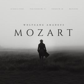 Concerto for Oboe and Orchestra In C Major, Hob. VII:C.1: I. Allegro Spirituoso Orchestra New Philharmony Saint Petersburg & Samo Hubad