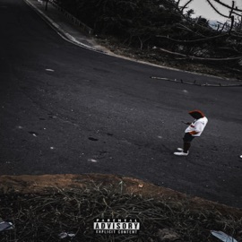 TXUXUCOS! (feat. yyunggzo) PJ.WYA