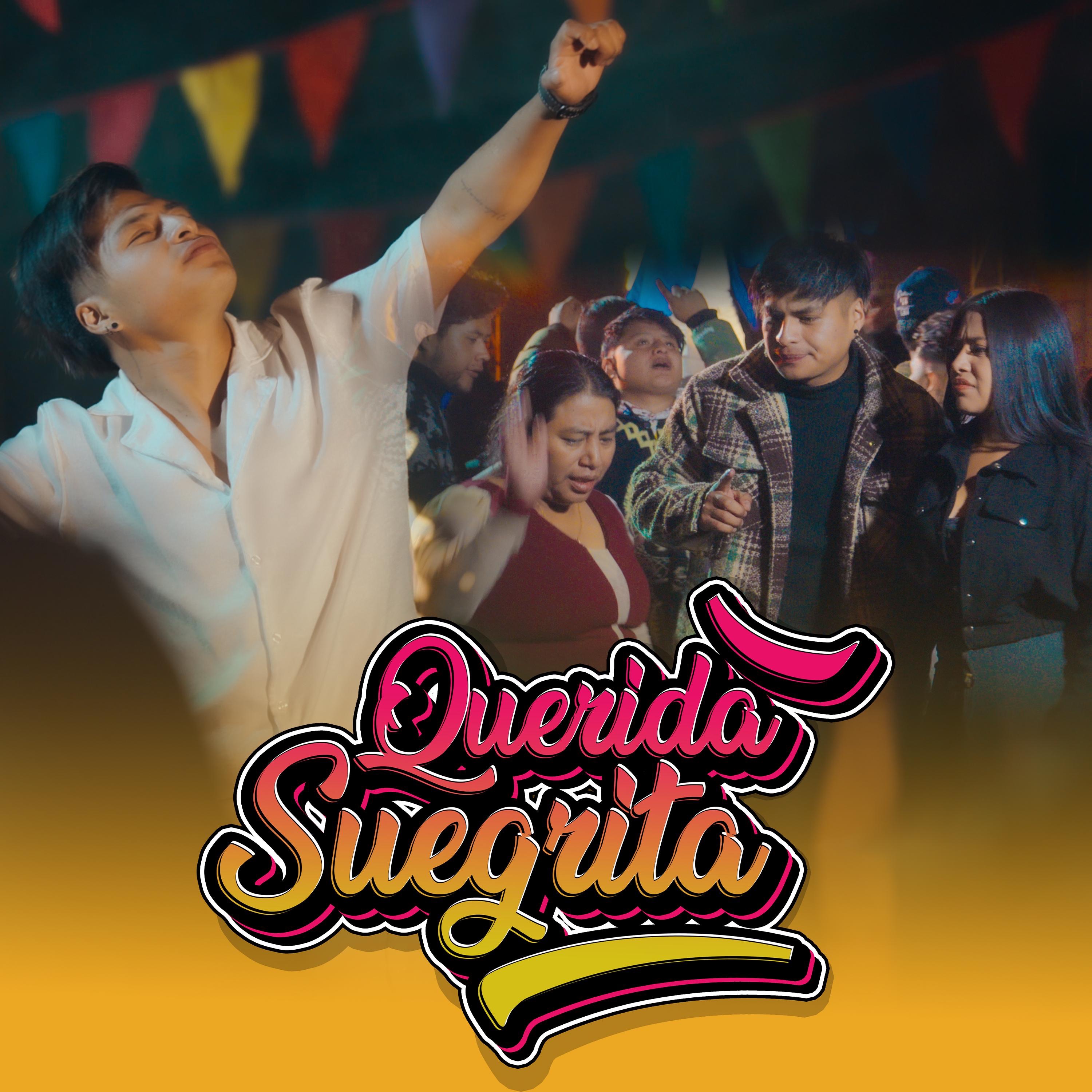 Querida Suegrita - Single