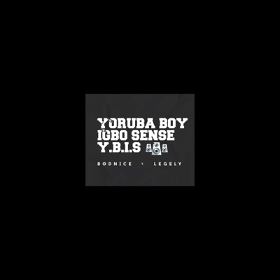 Y.B.I.S (yoruba boy igbo sense) - Single